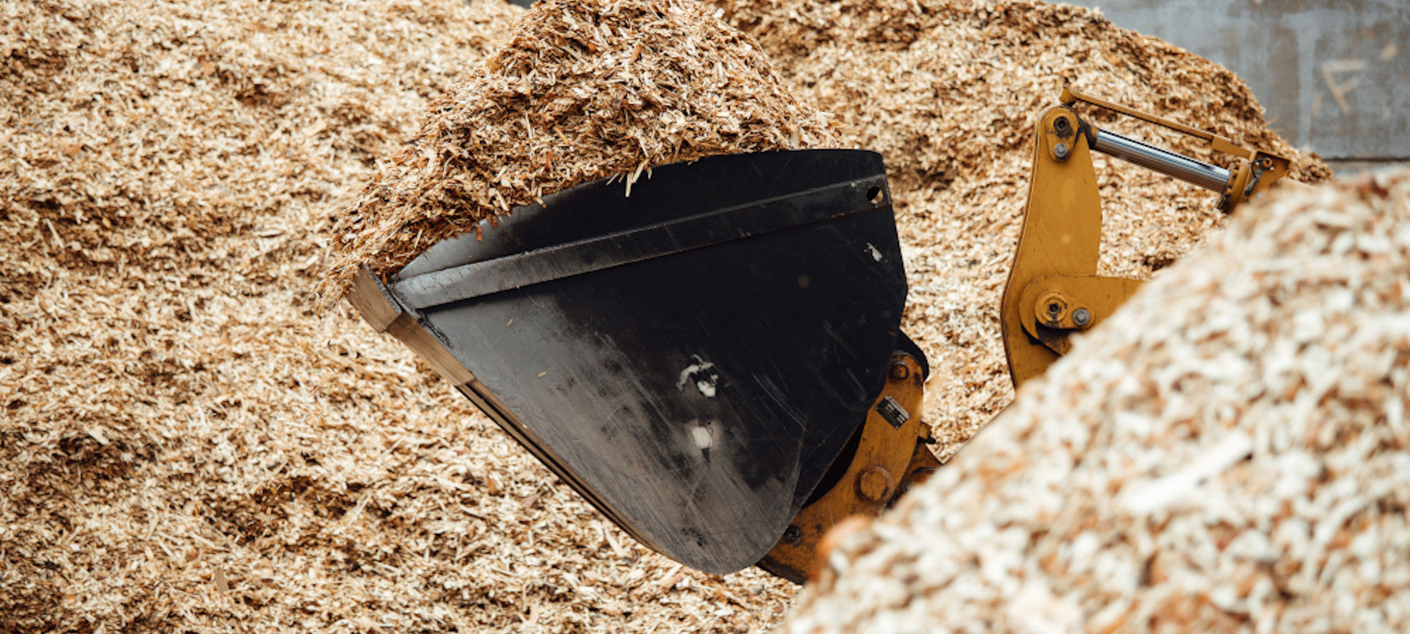 Escavadora recogiendo serrín